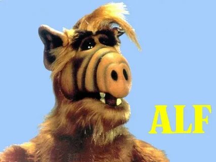 Alf. Desktop wallpaper. 800x600