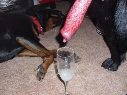 Drinking dog cum 🍓 The dog's sperm overflows in her mouth in the bitch