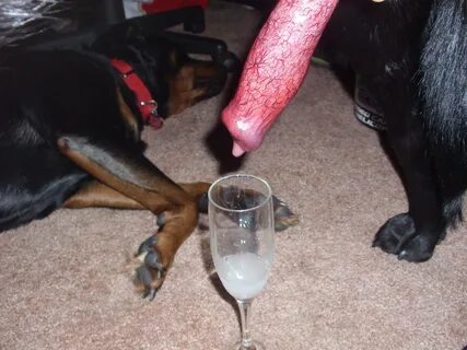 Filling a cup with dog cum and drinking it