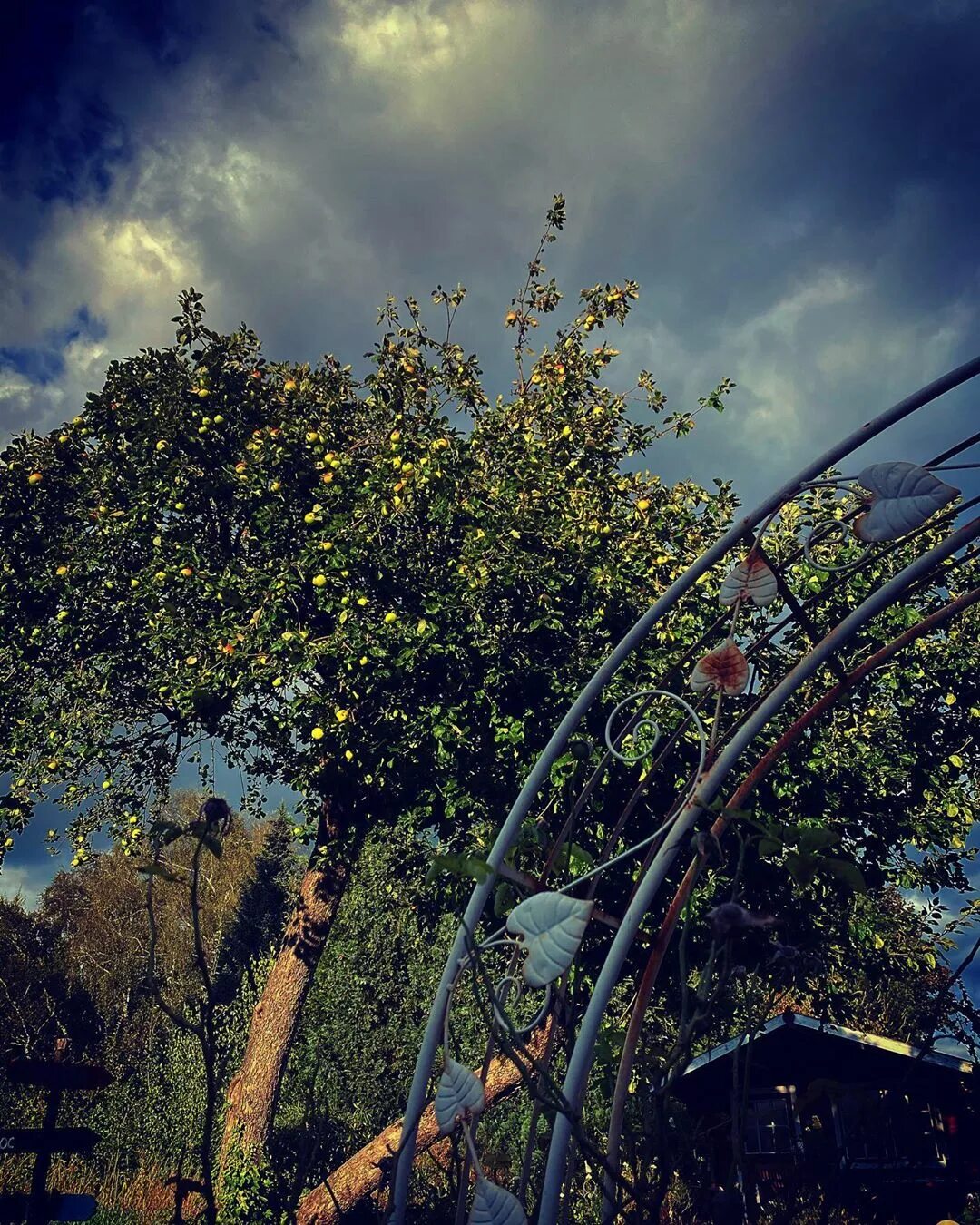 Instagram autumn skye Draft:Autumn Skye