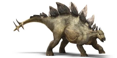 Stegosaurus Jurassic world dinosaurs, Prehistoric animals, J