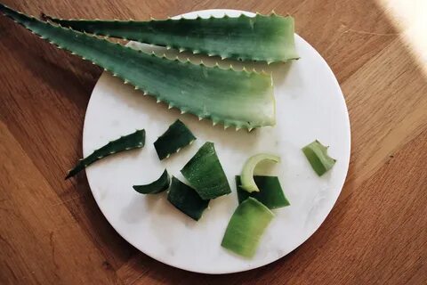 Aloe Vera: The Healing Plant