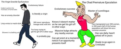 The Virgin ED vs the Chad PE - Imgur