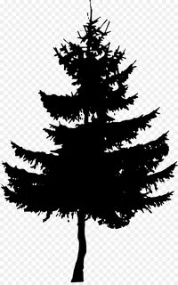 Western red-cedar Tree Evergreen Blue spruce - tree silhouet