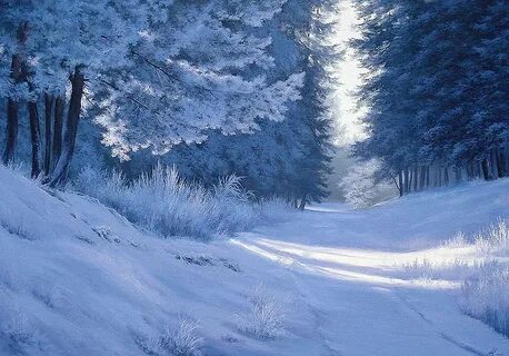 Winter Serenity, snow, trees, winter, forest, path, artwork,