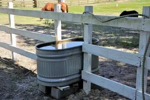 dual paddock water trough Horse farm ideas, Horse farms, Hor