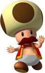 Toadsworth Mario