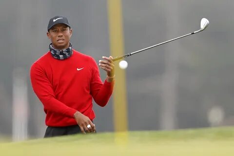 What injuries did Tiger Woods suffer in the car accident? Th