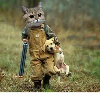 Funny Cat As A Hunter Carrying His Cute Dog Funny cat pictur