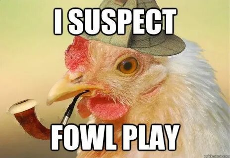 Pin by Me on humor Chicken humor, Funny chicken memes, Funny