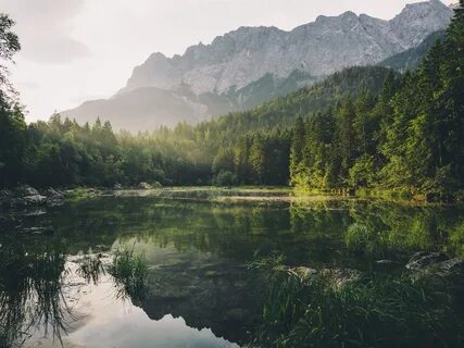 Forest, mountains, lake, fog, sun rays 640x1136 iPhone 5/5S/