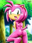 Amy Rose :: StH Персонажи :: Sonic porn :: PalComix :: Sonic