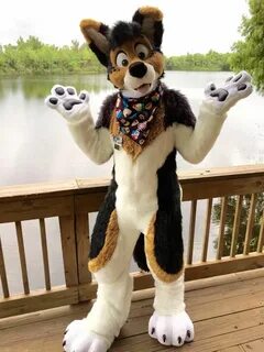 heads-and-tails-fursuits Fursuit furry, Anthro furry, Yiff f