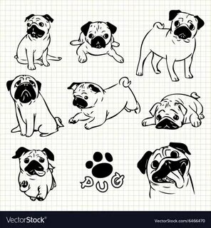 Line drawing of Pug dog set on grid paper use for elements d