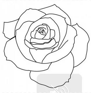 Download png rose outline s clipart png photo TOPpng