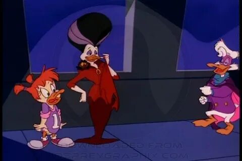 Darkwing Duck - Morgana McCarber