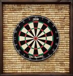 Dart Board Measurements Guide with Set Up and Mounting Advic