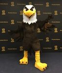 Eagle Mascot Costume Related Keywords & Suggestions - Eagle 