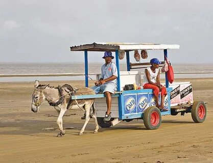 A breezy visit to Number 63 Beach - Guyana Times Internation