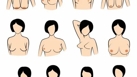 What do c cup boobs look like