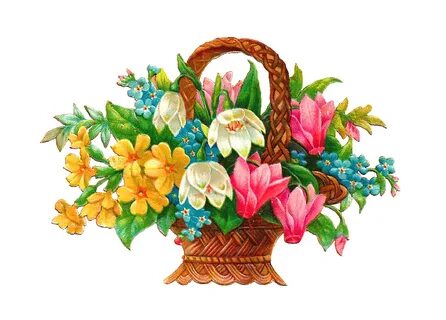 Flower basket, Floral baskets, Flower drawing