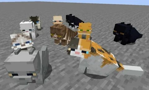 Minecraft Where To Find Cats