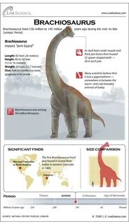 Brachiosaurus: Facts About the Giraffe-like Dinosaur Dinosau