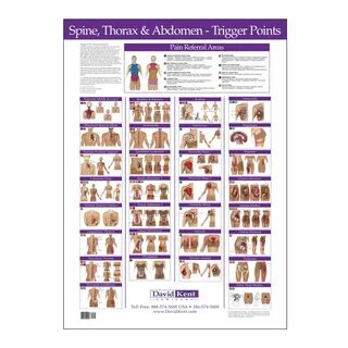 Gallery of trigger point charts - trigger points chart trigg