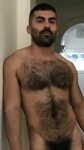 Pin on Hairy and hot