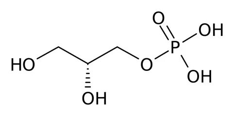 グ リ セ ロ-ル 3-リ ン 酸 - Wikipedia