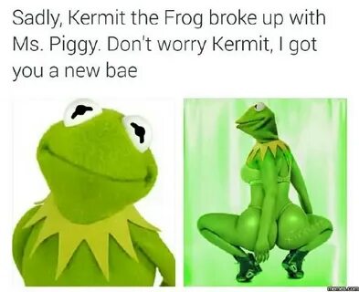 Kermit The Frog Meme Wallpapers / With tenor, maker of gif k