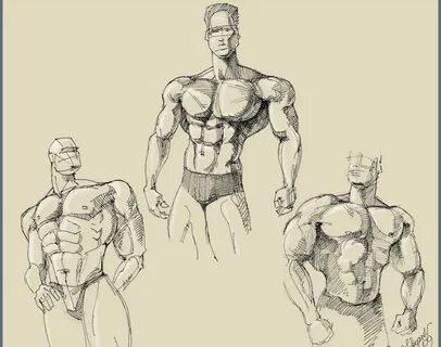 How To Draw A Muscular Male Body - Marijke Creations