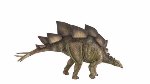 Tierlexikon: Stegosaurus - GEOLINO