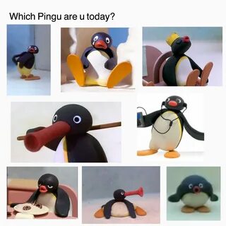 pingu