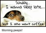 Happy Funny Sunday Morning quotes funny, Coffee quotes morni