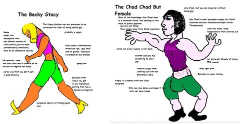 The Becky Stacy vs. the had Chad But Female.