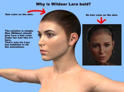 hair lara.png 