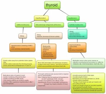 Hyperthyroidism Concept Map Nursing ** Click on the image fo