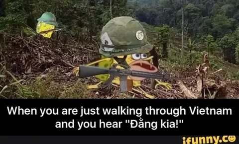 Vietnam war Memes
