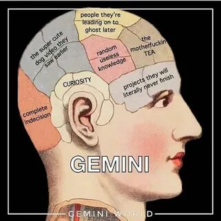 27 Funny Gemini Memes That Totally Get The Vibes Being A Gem