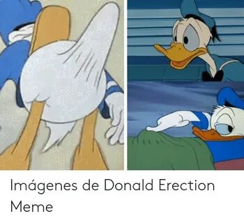 Imágenes De Donald Erection Meme Meme on ME.ME