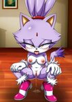 Blaze the Cat :: StH Персонажи :: Sonic porn :: PalComix :: 