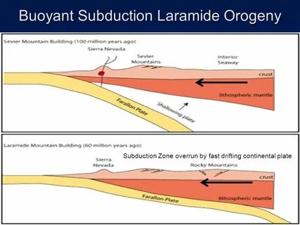 Last Time We ended our discussion of the Paleozoic with the 