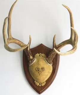 Taxidermy WALNUT HOLLOW DELUXE ANTLER DISPLAY KIT OAK Other 