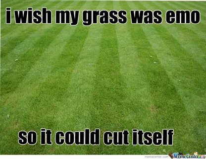 Grass by yanyrose1 - Meme Center