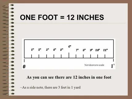 Learn How To Read a Ruler in Just a Few Steps. ONE FOOT = 12