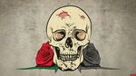Skull Wallpapers - Top Free Skull Backgrounds