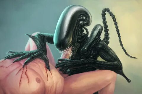 Rule34 - If it exists, there is porn of it / xenomorph / 387