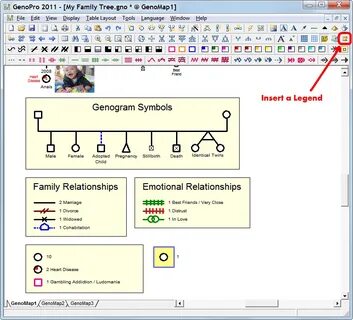 Inserting a Key Legend for Genogram Symbols - GenoPro Help