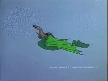 Wile Coyote Gif